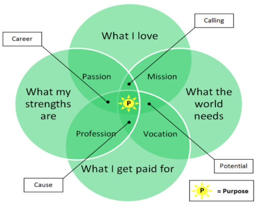Areas of Career Coaching and deciding a major